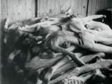 NaziConcentrationCamps