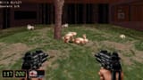 Rrabbits