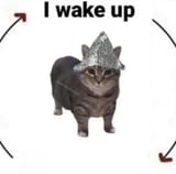1720383369078910