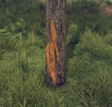 Berg Armor