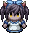 nojalice