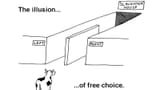 illusion