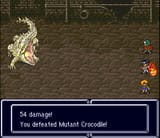 Big Croc