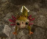 axolotl