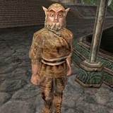 400px-TR-npc-Gaenor