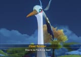my bird wife