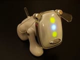 idog