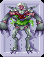 Chryssalidautopsy