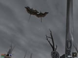 Thread 3780451 OP Image