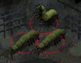 Carrion_Crawlers