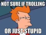 fry-meme-trolling-or-stupid