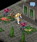 gardens2