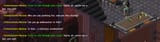 rig fags