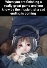 feel-the-tears-with-this-gamer-cat-sad-ending-meme