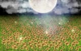 Making backgrounds with Ultra Mode 7 - SigmaSuccour False Series Games
