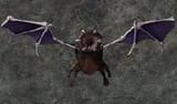 BloodSuckerMM6