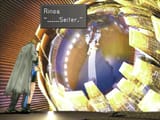 14-FFVIII_22289