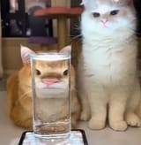 we are watching you 2