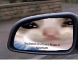 sadness