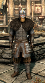 how-would-you-rate-my-new-characters-looks-the-armor-was-v0-39rj8qeg4odc1