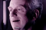 Palp