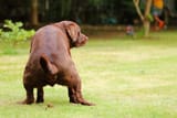 360_F_299080226_lO0ymoyPdhAl7hSBccOvsIJgDfytPkZ0