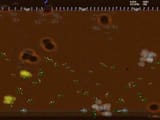 ww1m