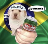 7fb