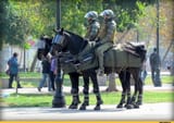 riot cavalry