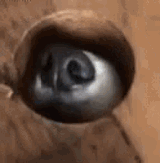1733744977152951