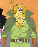 Pedro_Anime_Infobox