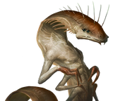 Arthropoid_slender_05