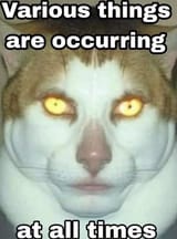 1726071173273242