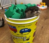 otter 911