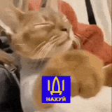 иди нахуй