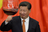 smug xi