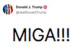 MIGA