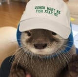 otter 274