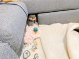 otter 708