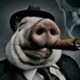 sigma-pig