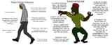 peasant revolution