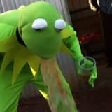 kermit vomit