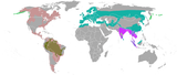 Otter_range