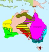 Australian_Magpie_-_distribution.svg