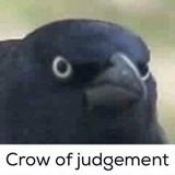 crowofjudgement