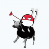 winged hussar