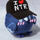 NTRBIRD