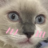 1743911759593173