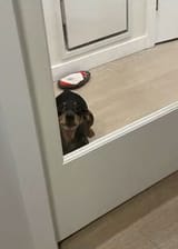 DAD looks on in judgement