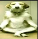 GpFfrVeX0AEMN_L